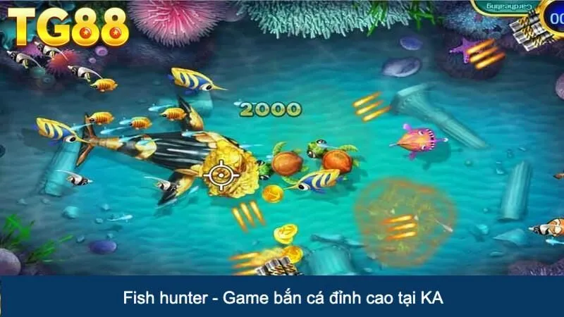 Fish hunter - Game bắn cá đỉnh cao tại KA
