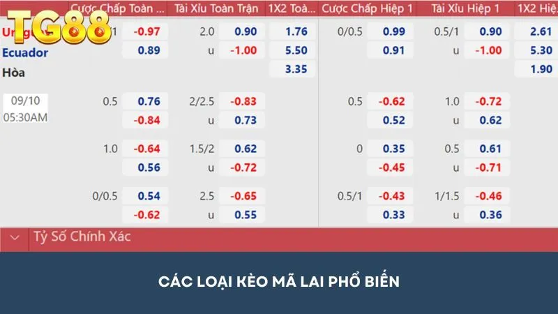 Gợi ý các loại kèo cược phổ biến hiện nay