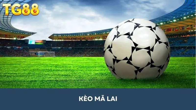 Kèo Mã Lai (Malaysia): Bí kíp chinh phục kèo cược hiệu quả